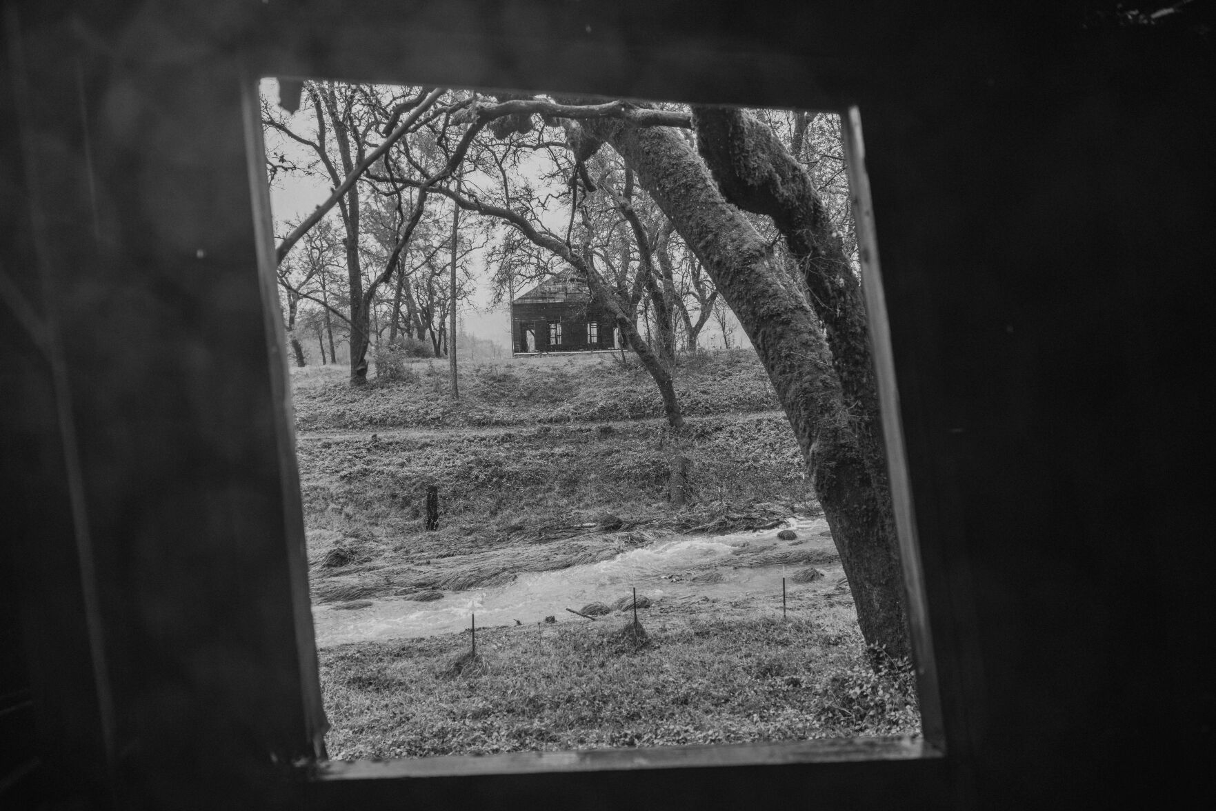 Aetna Springa BW